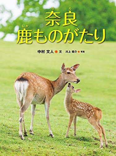 奈良公園の鹿 の属性 似てるキャラ 画像 キャラ属性王国